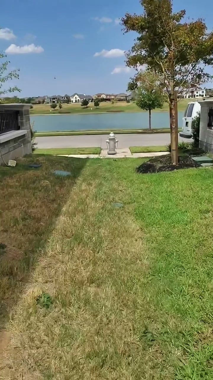 A back patio and lawn running down to a lake after a Curb Appeal visit, concrete clean and the yard tidy